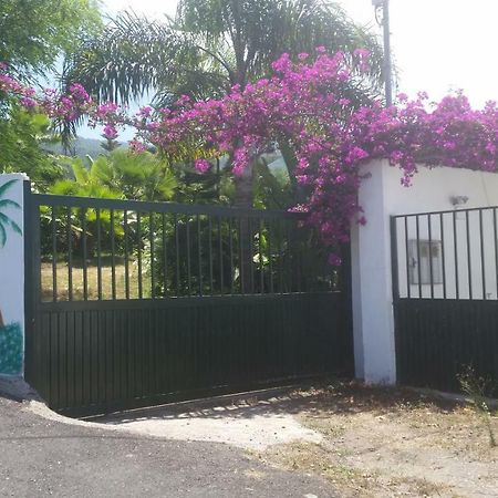 Finca Las Palmeras Icod De Los Vinos Exteriör bild