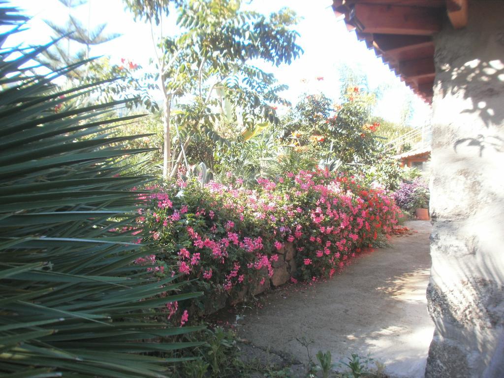 Finca Las Palmeras Icod De Los Vinos Exteriör bild