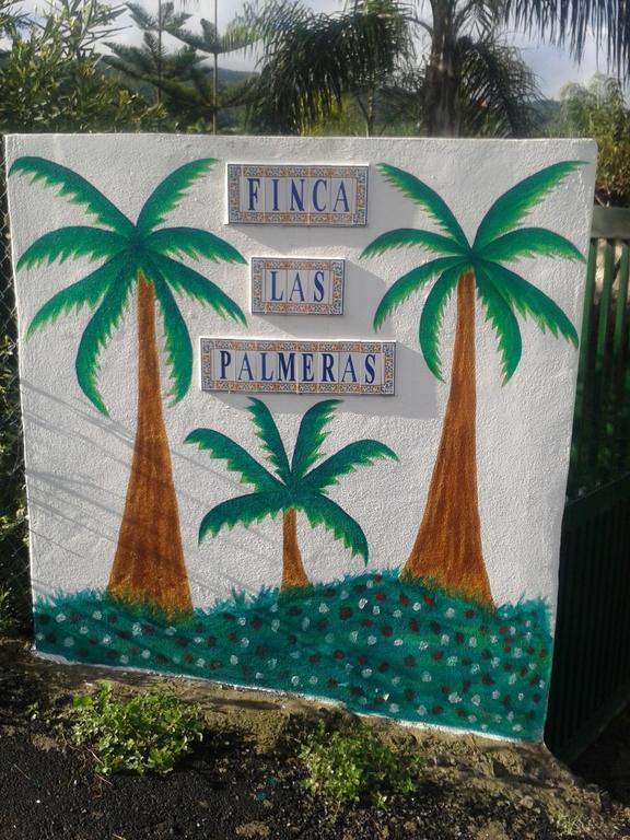 Finca Las Palmeras Icod De Los Vinos Rum bild