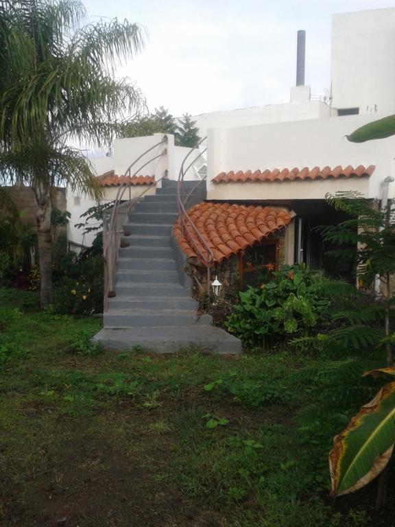 Finca Las Palmeras Icod De Los Vinos Rum bild