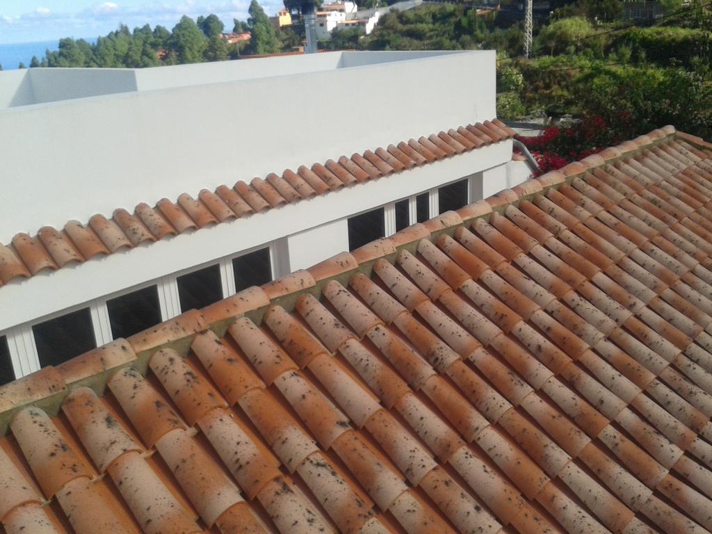 Finca Las Palmeras Icod De Los Vinos Rum bild