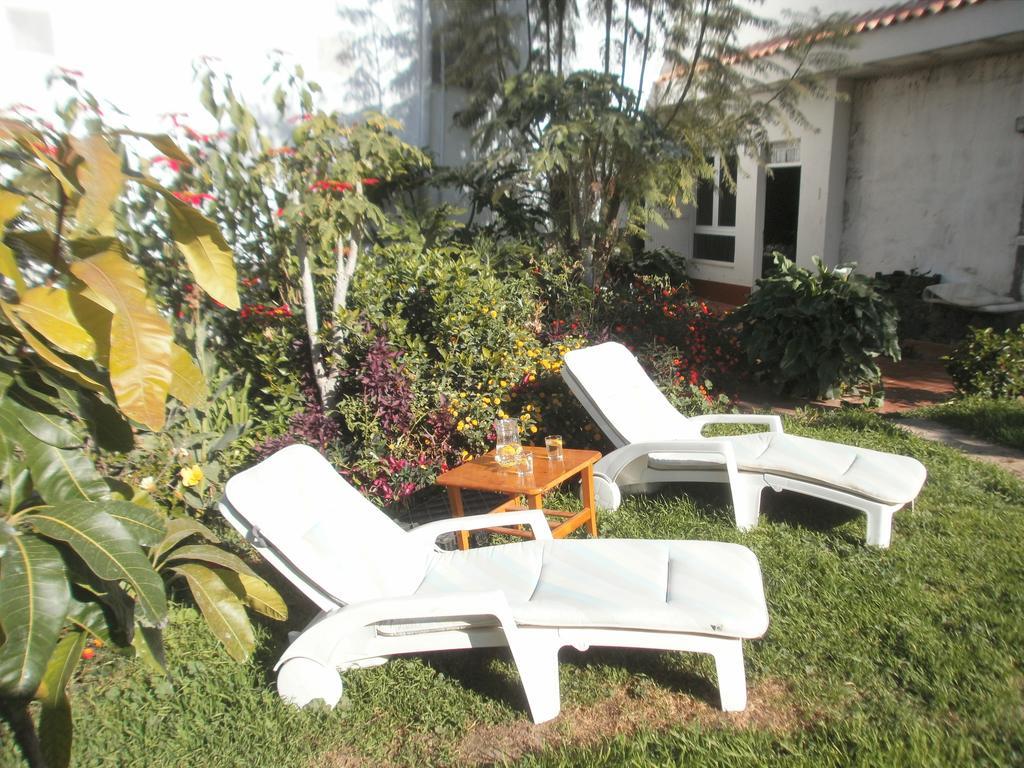 Finca Las Palmeras Icod De Los Vinos Exteriör bild