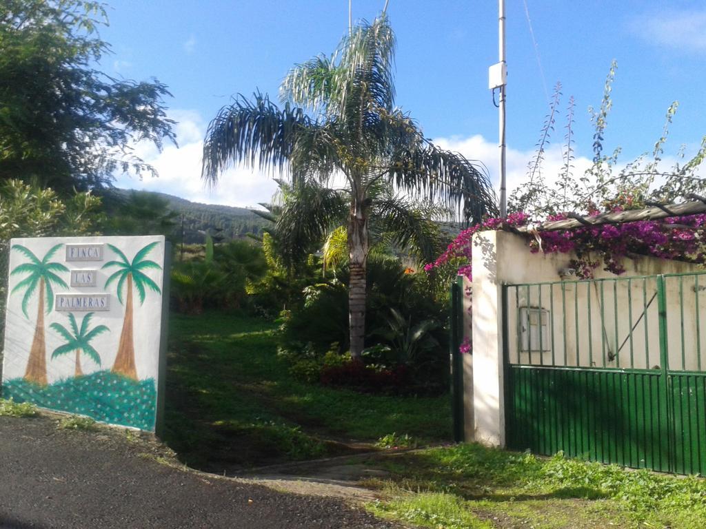 Finca Las Palmeras Icod De Los Vinos Exteriör bild