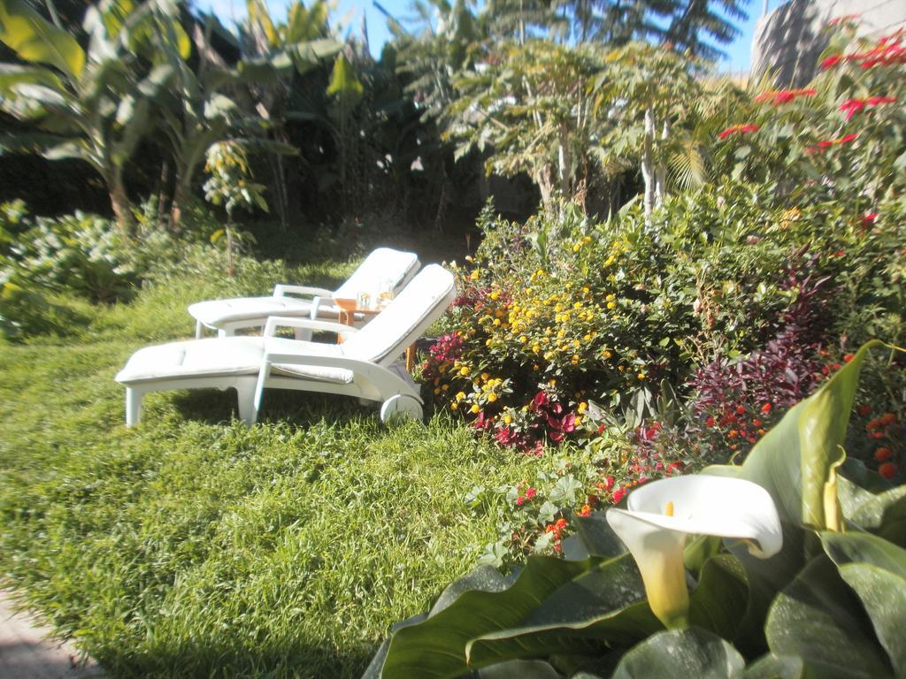 Finca Las Palmeras Icod De Los Vinos Rum bild