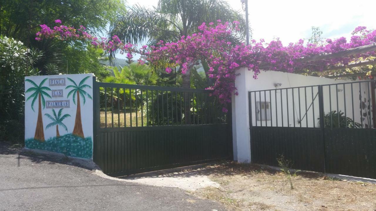 Finca Las Palmeras Icod De Los Vinos Exteriör bild