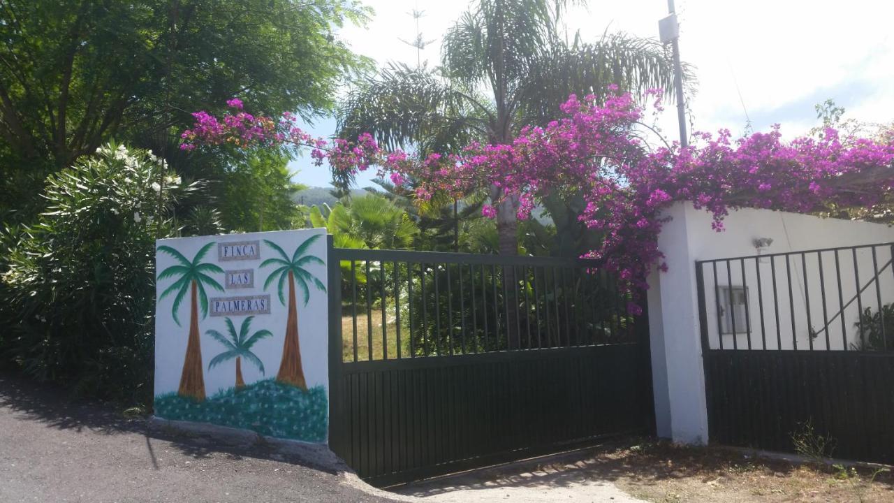 Finca Las Palmeras Icod De Los Vinos Exteriör bild