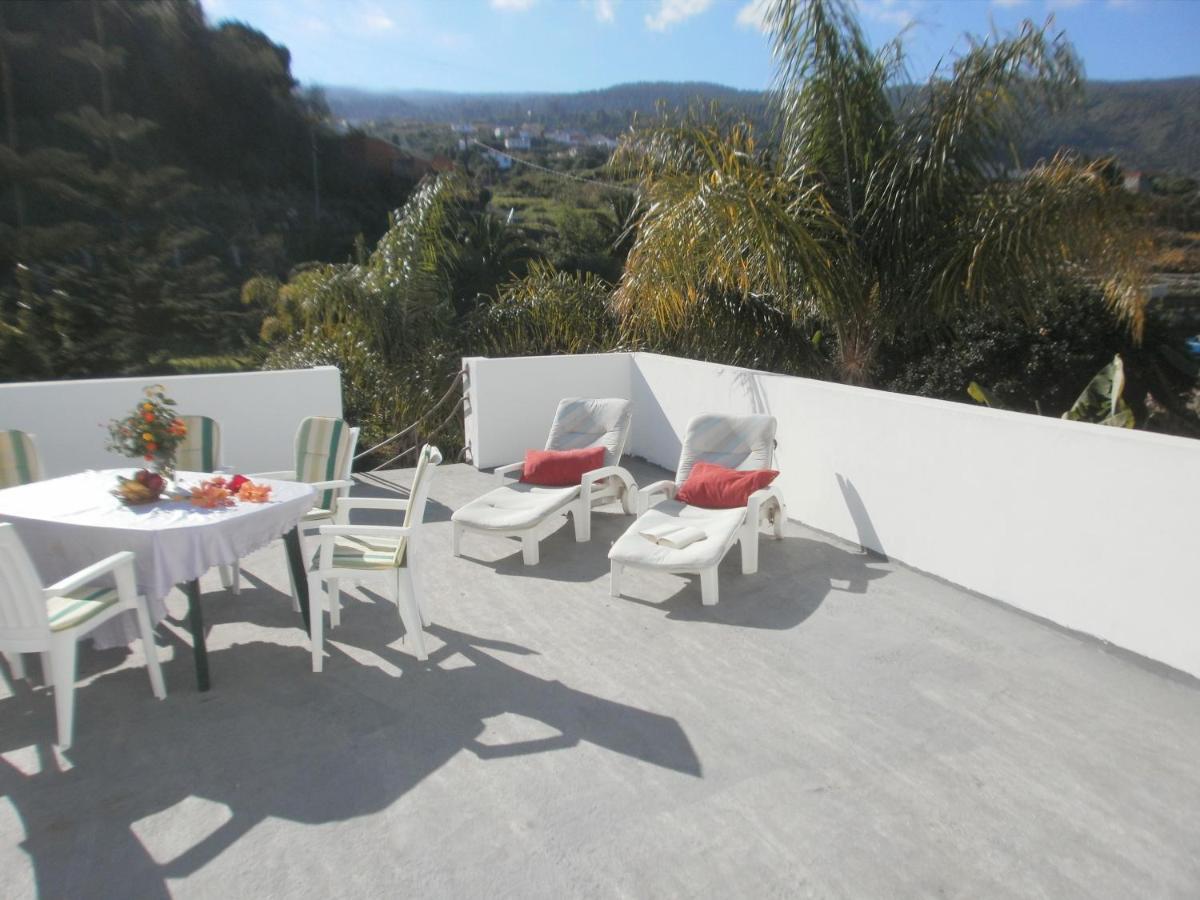 Finca Las Palmeras Icod De Los Vinos Exteriör bild
